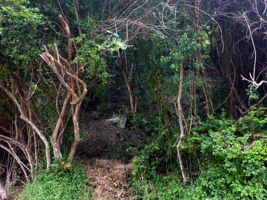 0 Bedroom Property for Sale in Wilderness Central Western Cape